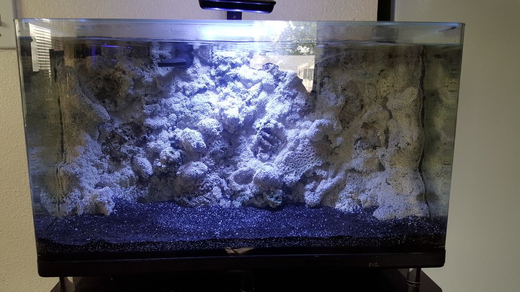 Diy foam rock back wall. Page 2 REEF2REEF Saltwater and Reef Aquarium Forum